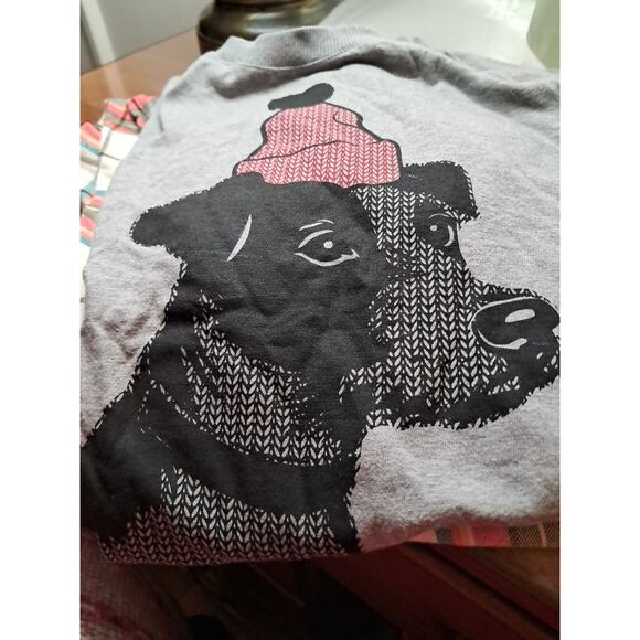 Goodfellow & Co Mens 2 Piece Pajamas Set Flannel Bottoms T- Shirt Top Size L - Picture 1 of 6